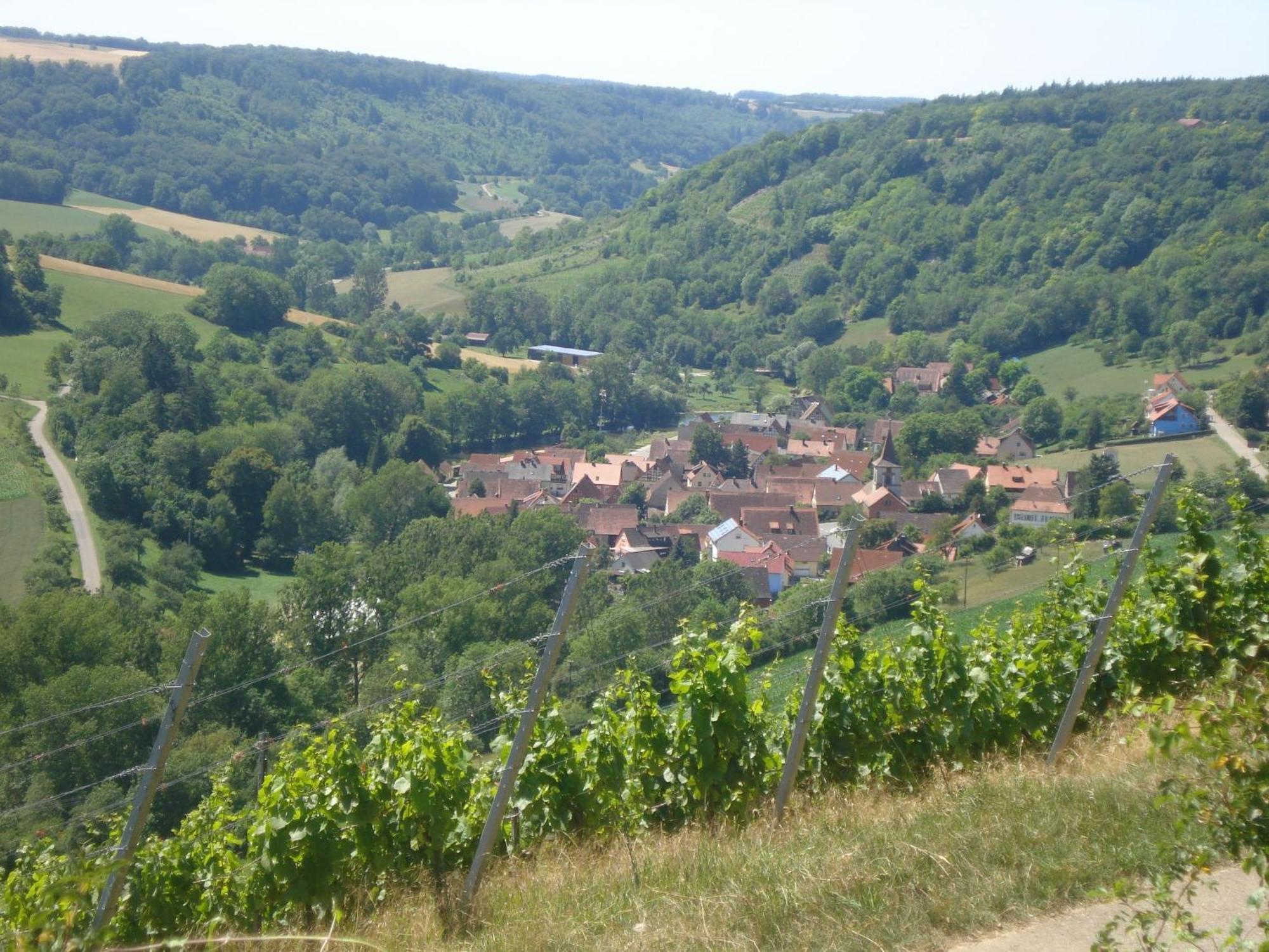 Landhaus Zum Falken Tauberzell Buitenkant foto
